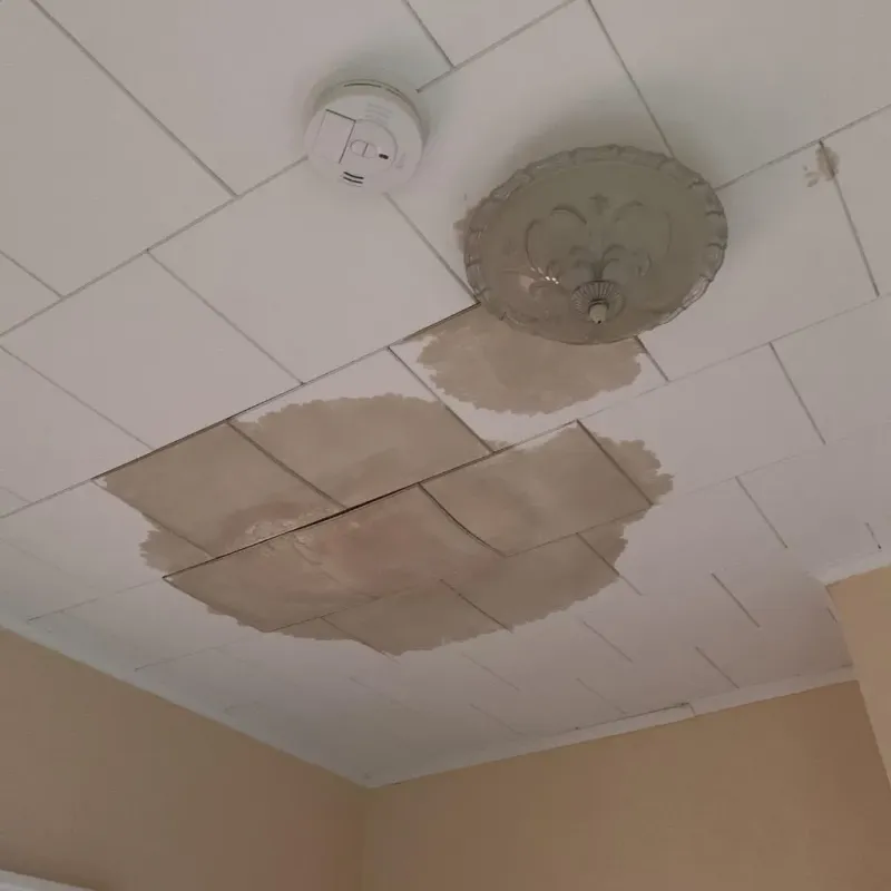 Ceiling Water Damage Repair in Harveys Lake, PA