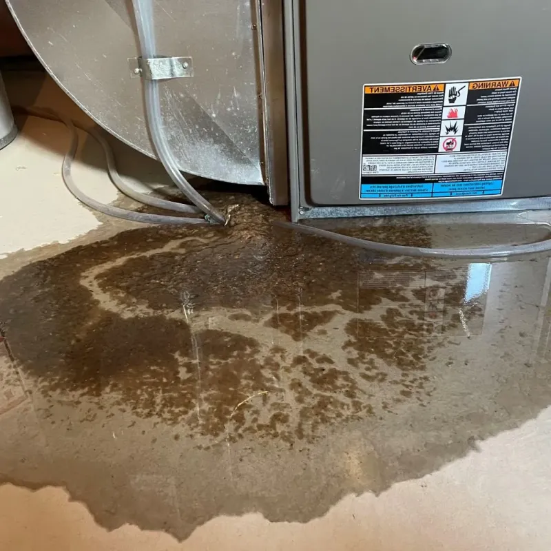 Pipe Burst and Leak Restoration in Harveys Lake, PA