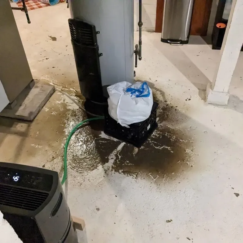 Sewage Backup Cleanup Service in Harveys Lake, PA